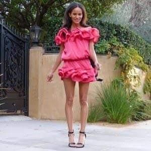 LANVIN X H M Pink Ruffle Dress Women s Fashion Dresses Sets