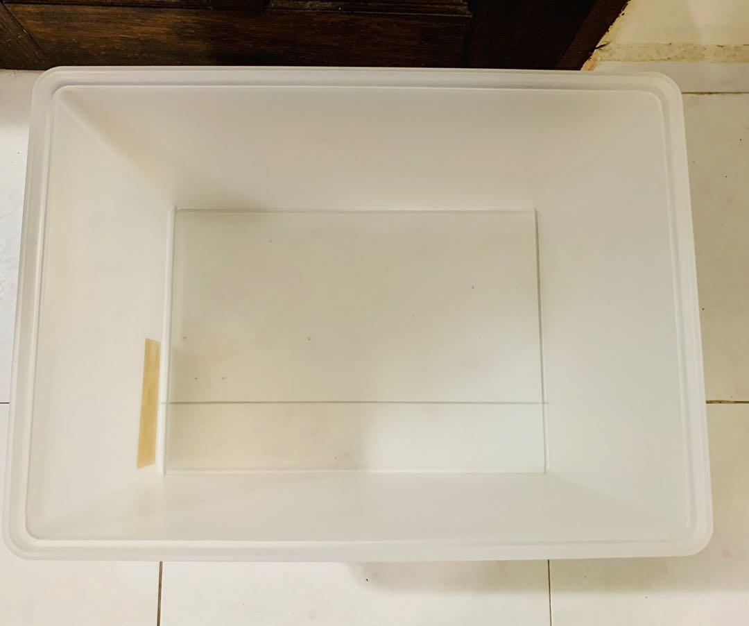 Muji Storage Box Wide and Deep, Furniture & Home Living, Furniture