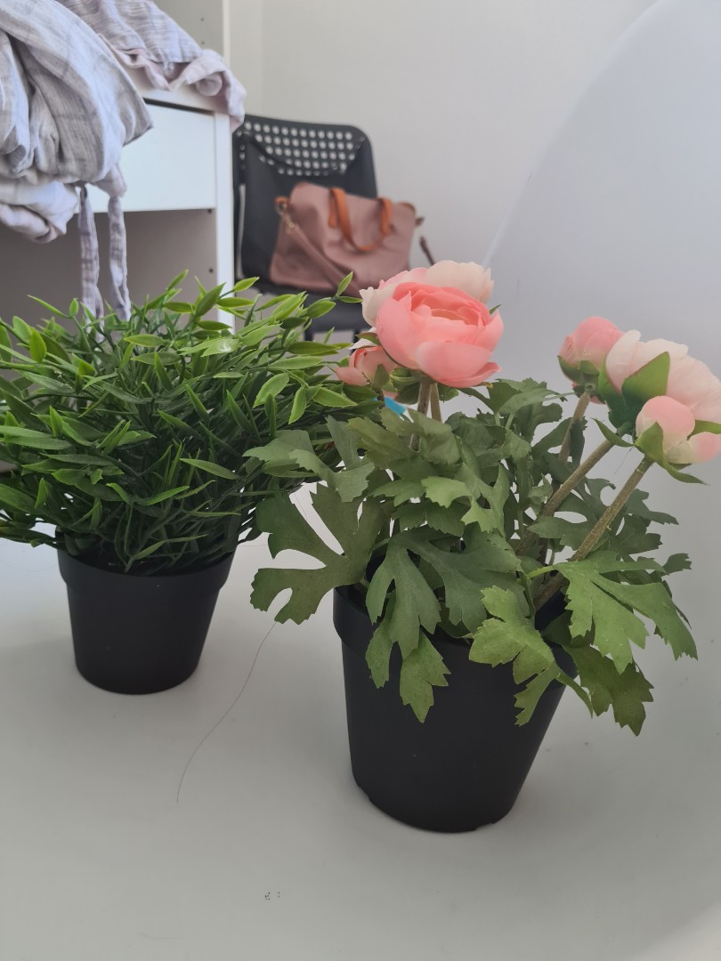 Set of 2 Artificial Plants, Furniture & Home Living, Home Decor