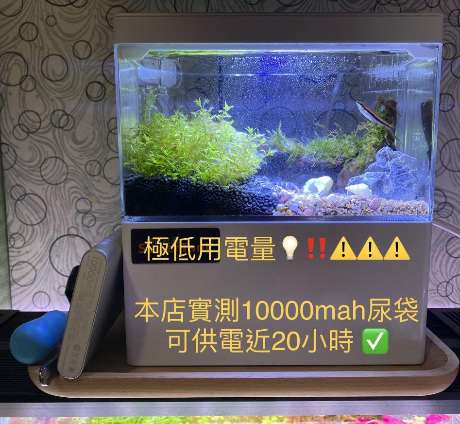 迷你usb桌面水草魚缸 全套連造景 包4件工具 木托盤 Aquascape Nano Fish Tank 生態缸自然缸草缸風水缸擺設懶人魚缸可養魚蝦不需co2 包一年保養 寵物用品 寵物家品及其他