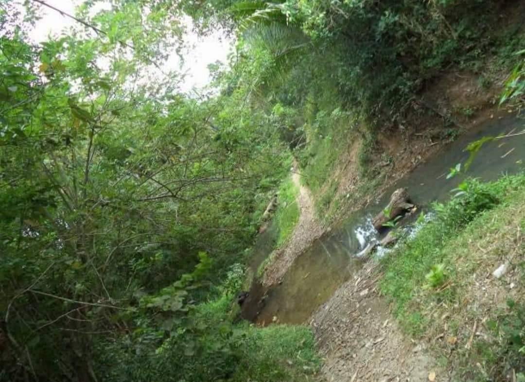 71.9 Hectares Mobo Masbate Lot, Property, For Sale, Lot on Carousell