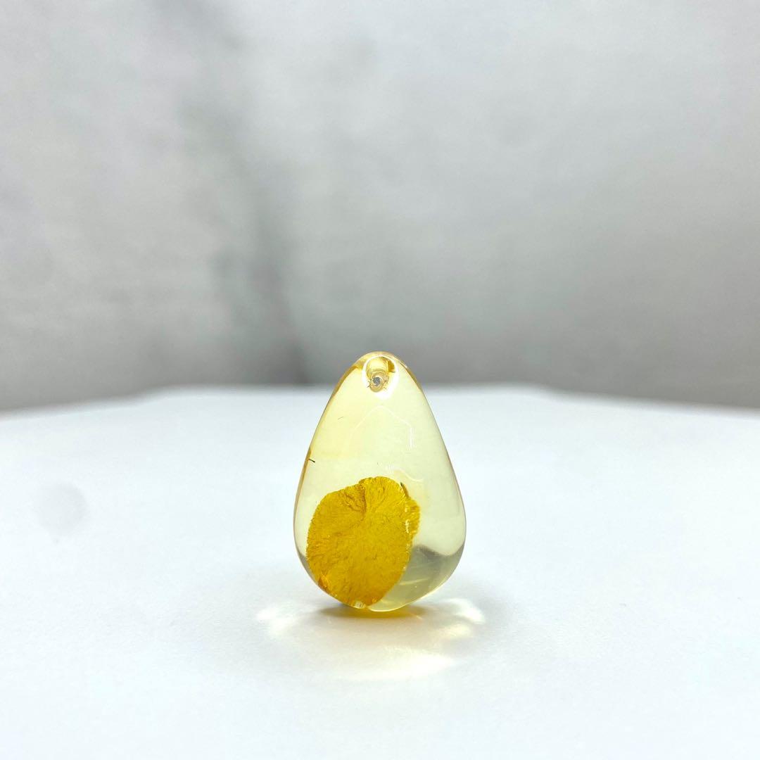 琥珀花珀吊墜 女裝 飾物及配件 吊飾 Carousell