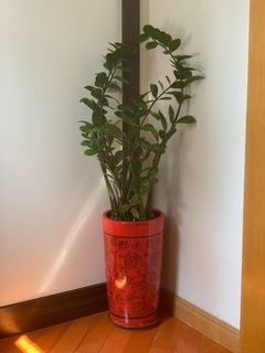 （分類：）位於 。 由 ecotreasures 提交（商品編號 1162524781，圖片 1）。簡介： 。