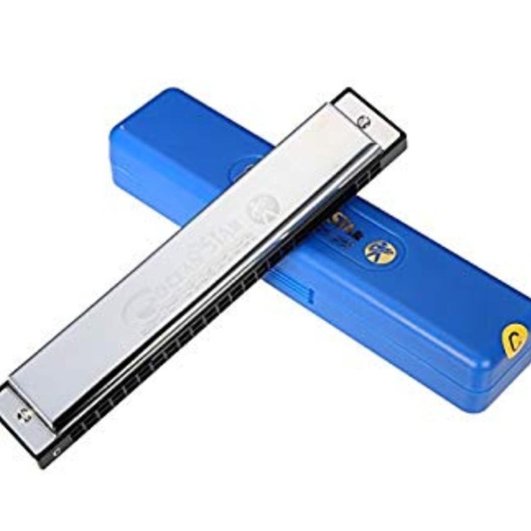 HohnerOcean Star 24 holes Harmonica(M254001) C key, Hobbies & Toys