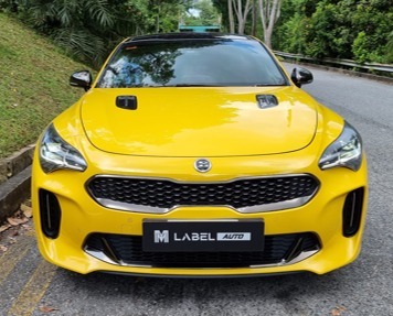 Kia Stinger 2.0A Sunroof Auto, Cars, Used Cars on Carousell