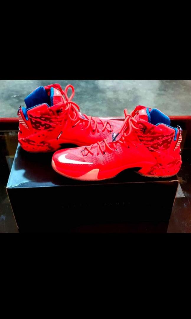 Lebron 12 hotsell limited edition