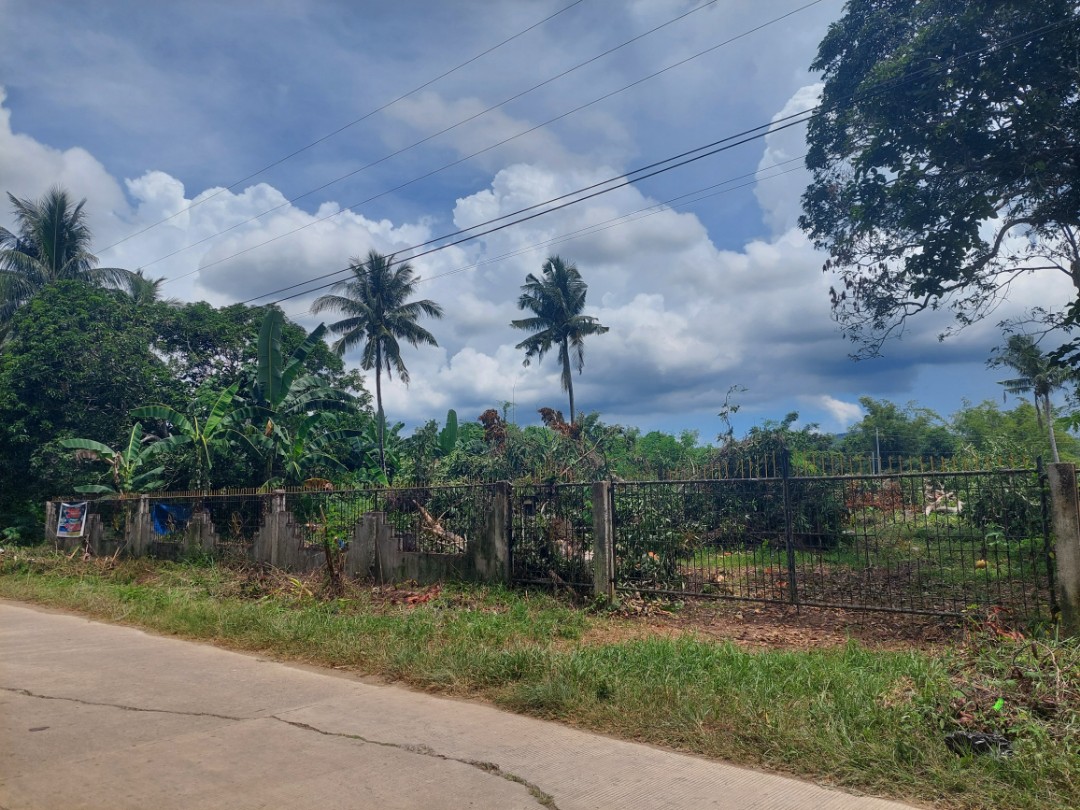Lot for sale in Palawan, Property, For Sale, Lot on Carousell