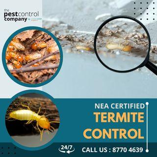 4. Pest Problems? Termite, dry wood termite, subterranean termite, ant, white ant. CALL US NOW.