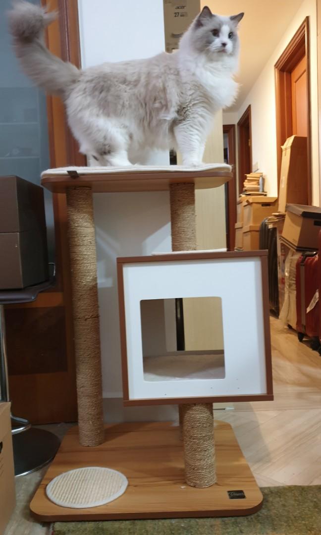 Vesper VBase in Walnut Cat Condo Cat Tree, Pet Supplies, Homes & Other