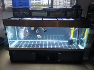 (Category: ) located in . Submitted by eason24 (Listing ID 1162717136, Image 1). Description: .