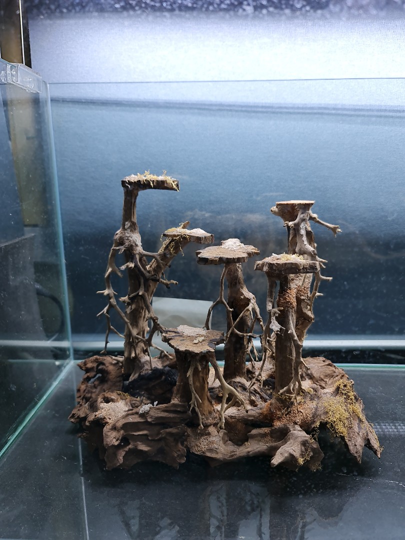 Aquarium hardscape, Pet Supplies, Homes & Other Pet Accessories on