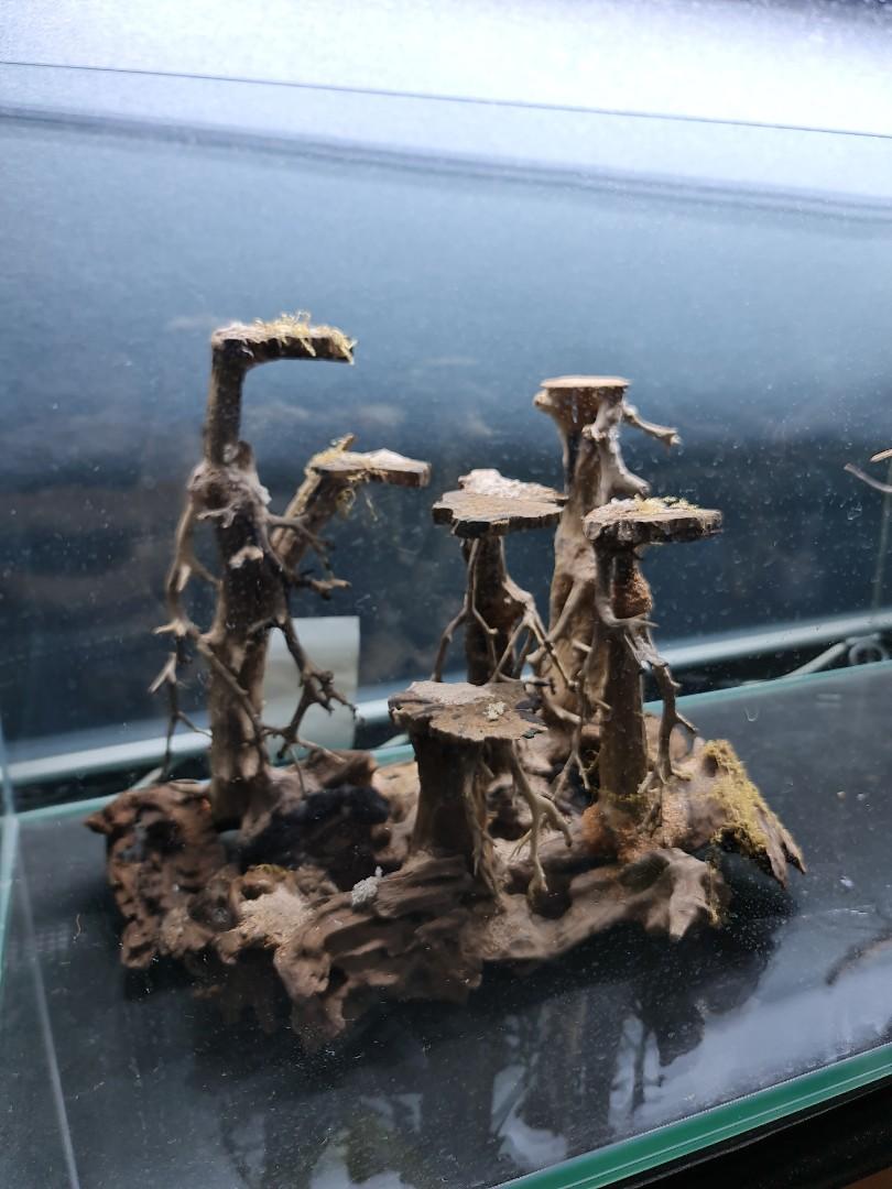 Aquarium hardscape, Pet Supplies, Homes & Other Pet Accessories on