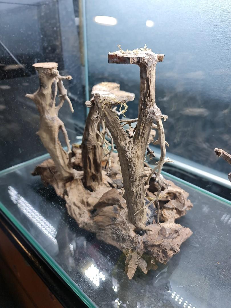 Aquarium hardscape, Pet Supplies, Homes & Other Pet Accessories on