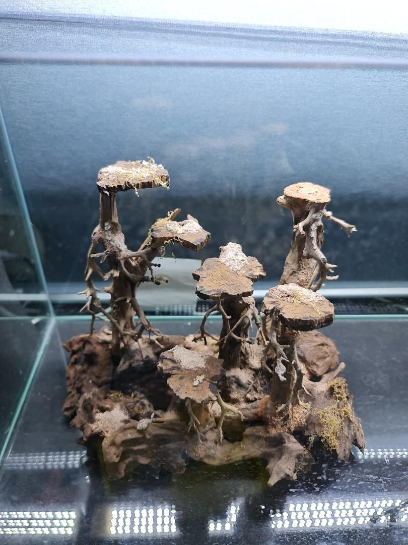 Aquarium hardscape, Pet Supplies, Homes & Other Pet Accessories on