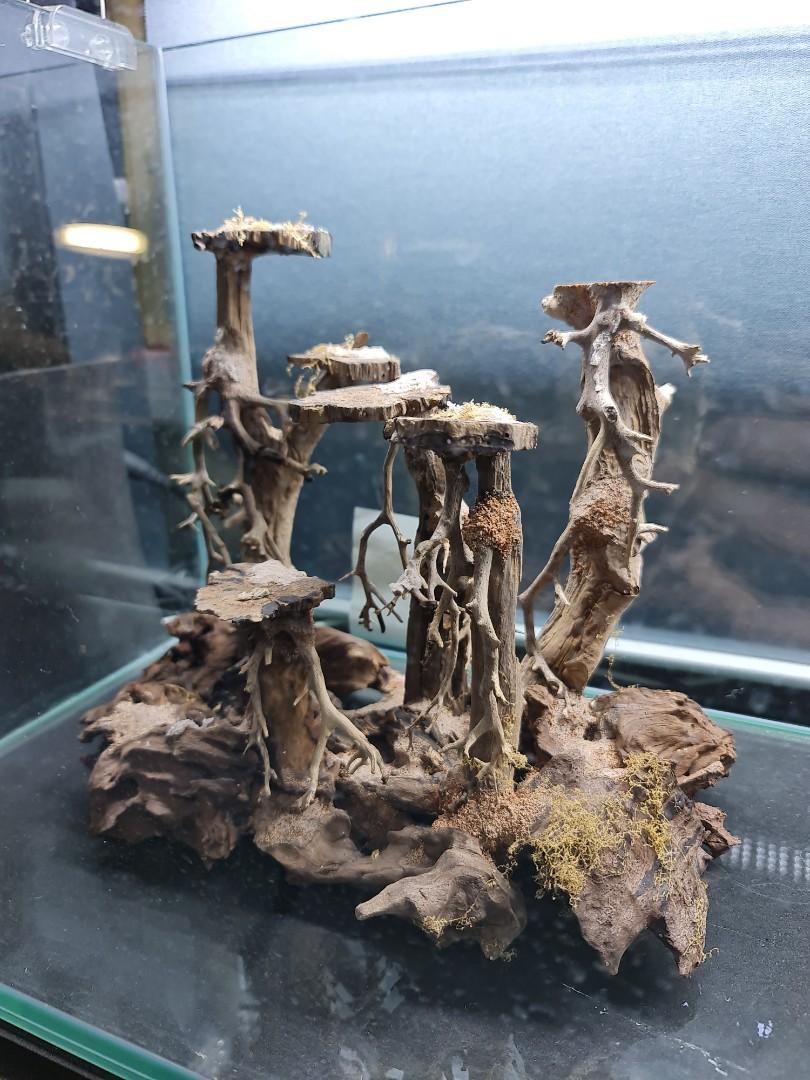 Aquarium hardscape, Pet Supplies, Homes & Other Pet Accessories on