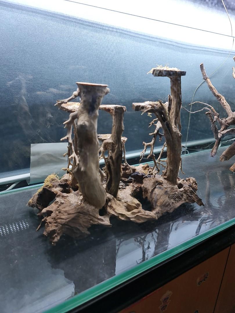 Aquarium hardscape, Pet Supplies, Homes & Other Pet Accessories on