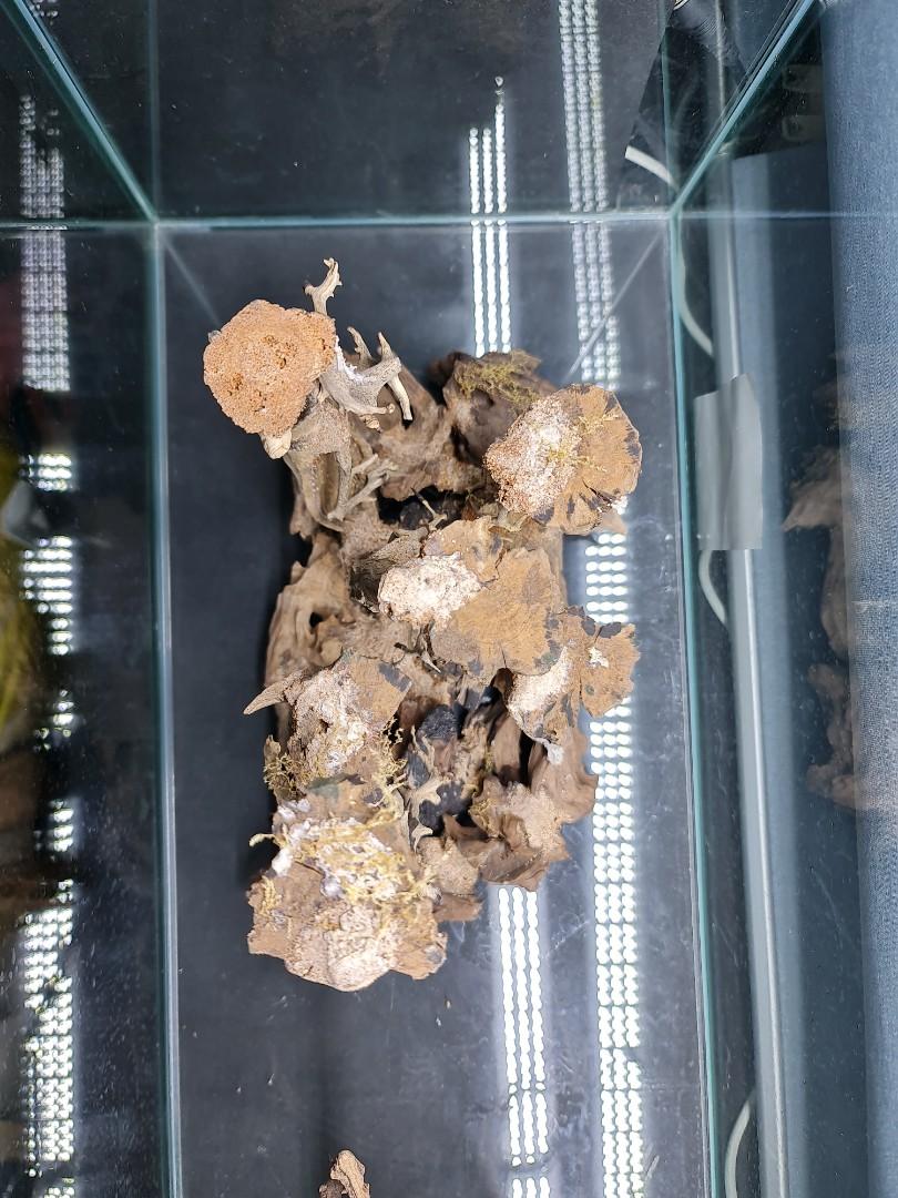 Aquarium hardscape, Pet Supplies, Homes & Other Pet Accessories on