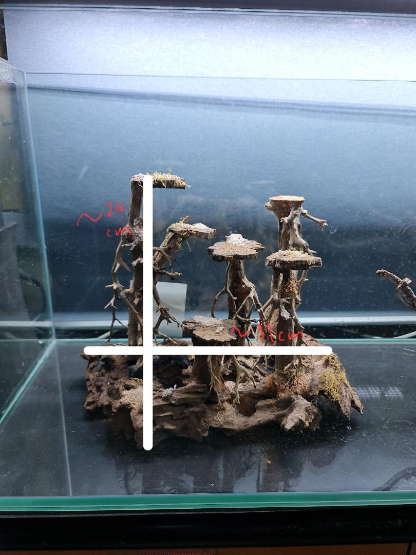 Aquarium hardscape, Pet Supplies, Homes & Other Pet Accessories on