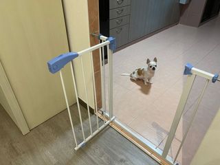 (Category: ) located in . Submitted by qirong1985 (Listing ID 1162707239, Image 1). Description: .