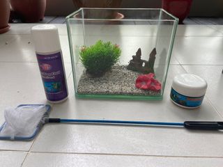 (Category: ) located in . Submitted by shani.shanberg (Listing ID 1162599581, Image 1). Description: .