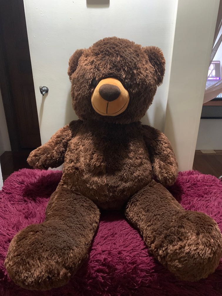 2.5 feet teddy bear price