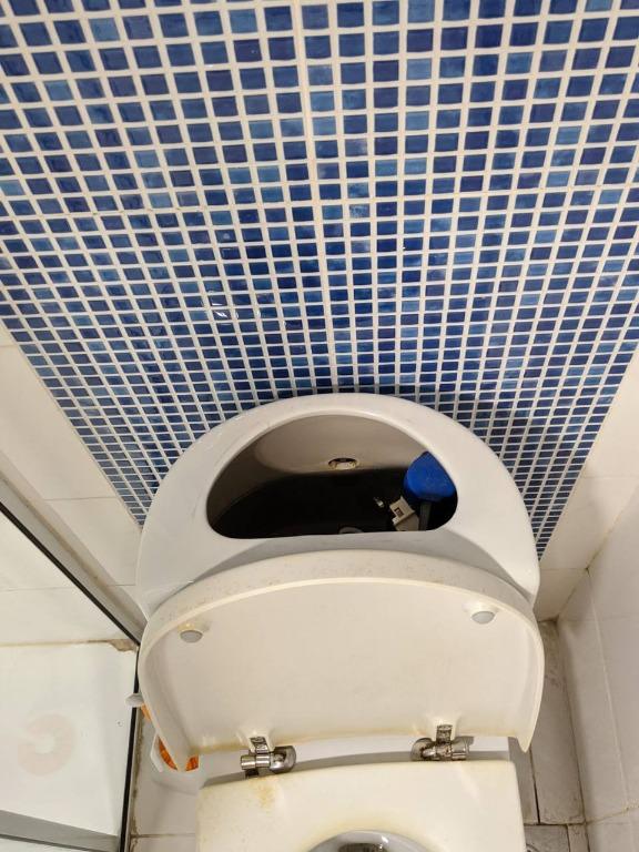 Gustavsberg Toilet Bowl Cistern Cover with Flush Button, Furniture