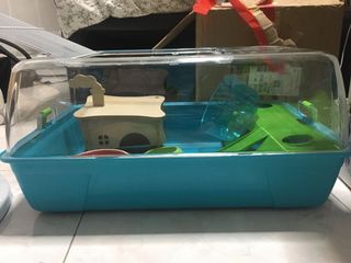 (Category: ) located in . Submitted by lelefufu (Listing ID 1162728869, Image 1). Description: .