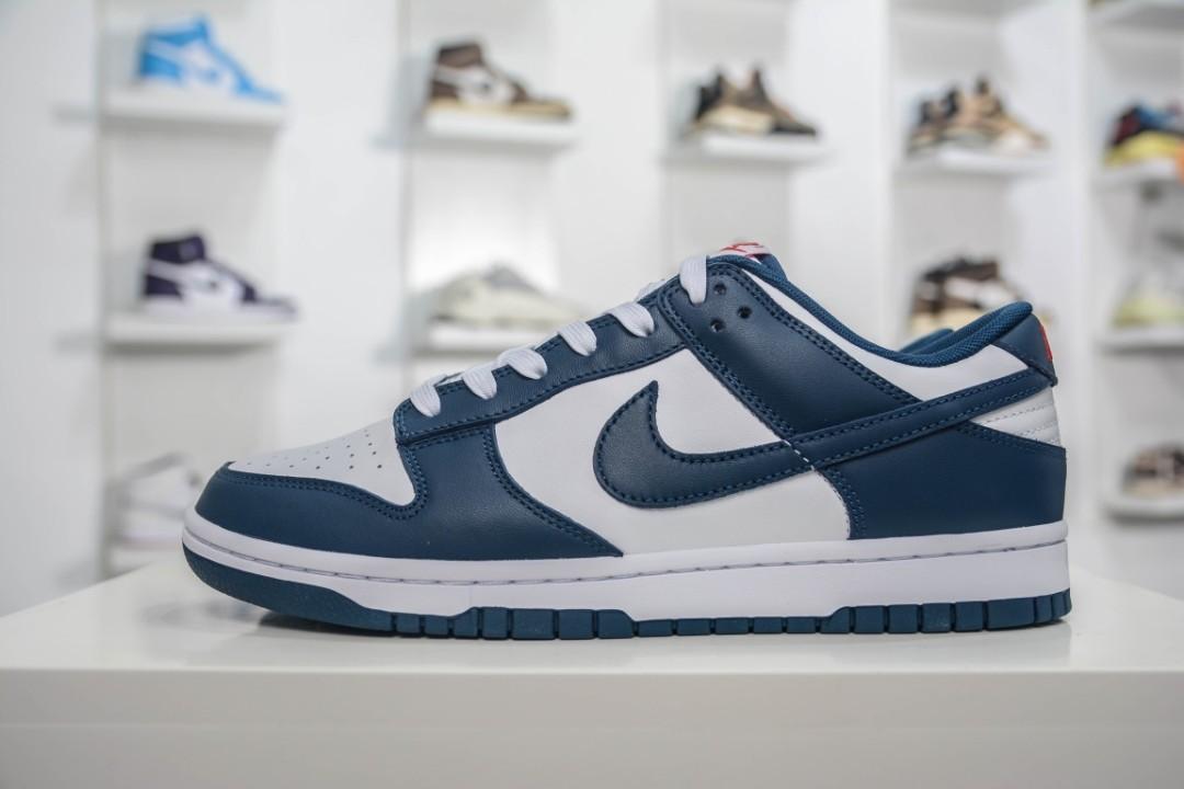 NIKE DUNK LOW VALERIAN BLUE DD1391-400