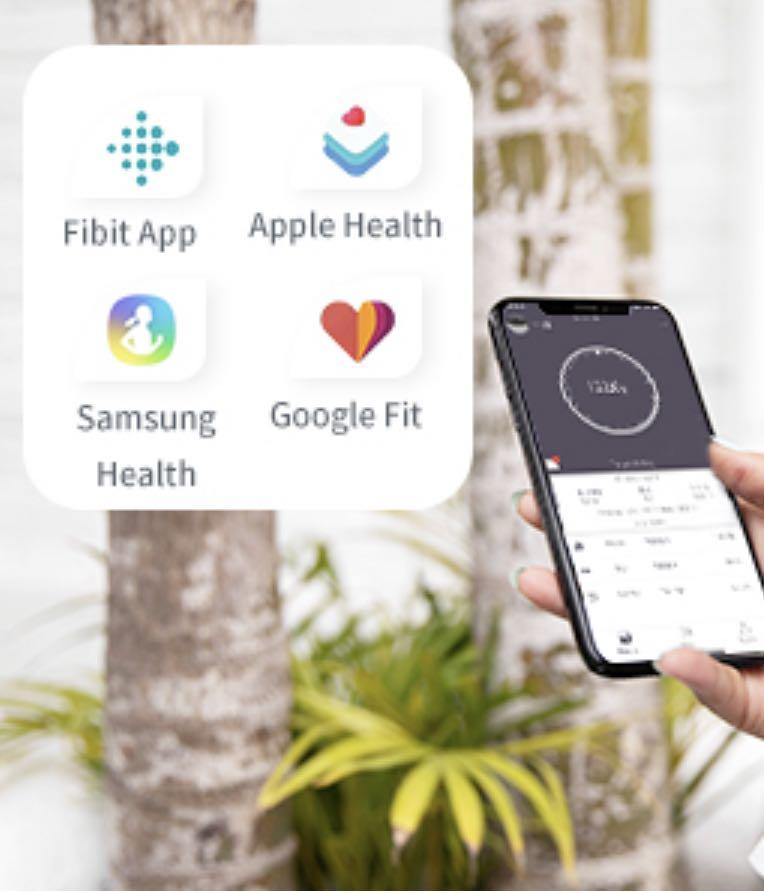 POSTURE Body Fat Scale, Posture Extra Large Display Digital Bathroom