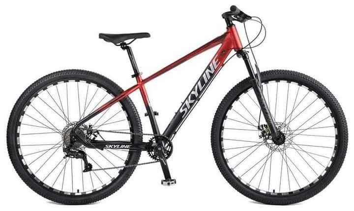 Skyline mountain biking 2025