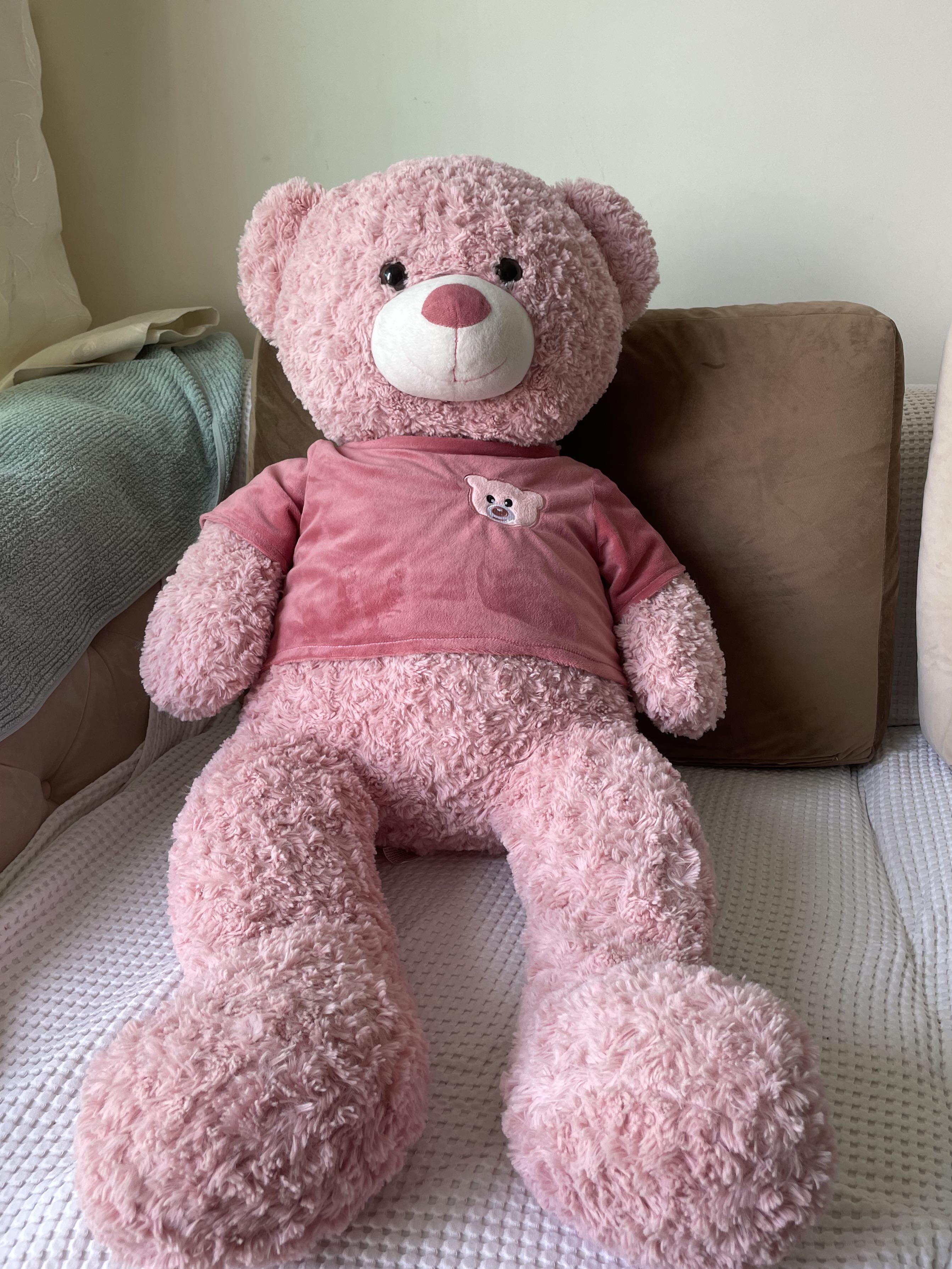 sears winnie the pooh stuffed animal