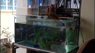 (Category: ) located in . Submitted by iggy_lim (Listing ID 1162670961, Image 1). Description: .