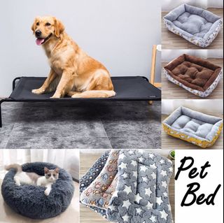 (Category: ) located in . Submitted by petsjoyland (Listing ID 271346368, Image 1). Description: .