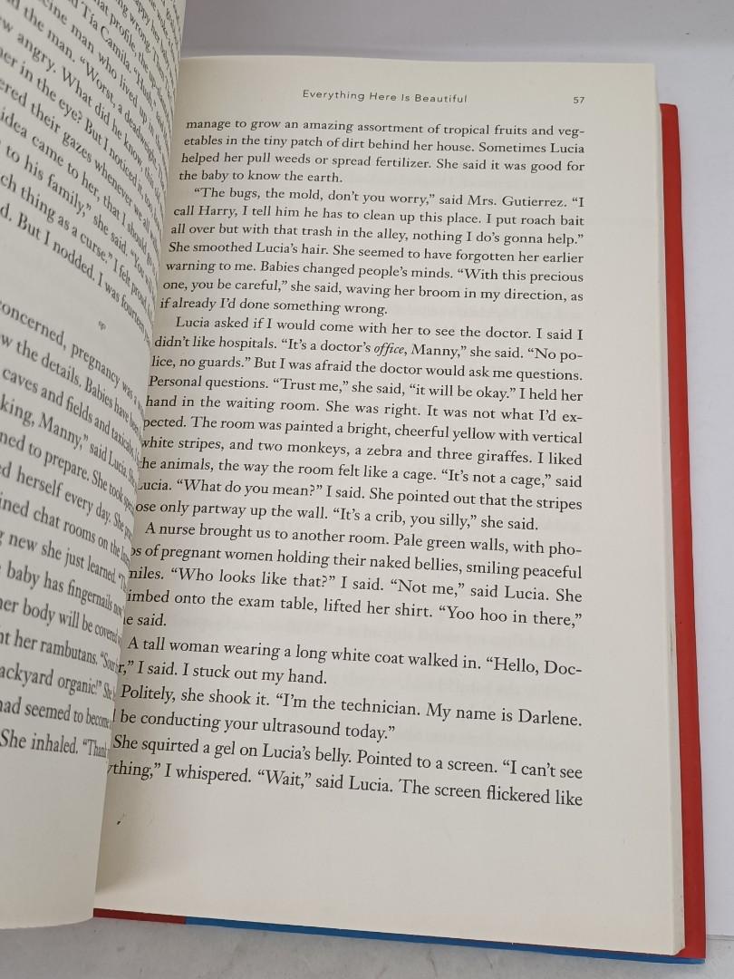 Everything Here Is Beautiful by Mirat. Lee, Hobbies & Toys, Books