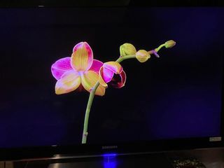 （分類：）位於 。 由 Oxmen_Swan 提交（商品編號 1162760497，圖片 1）。簡介： 。