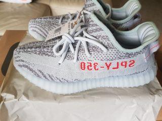 Adidas yeezy boost 350 v2 blue tint