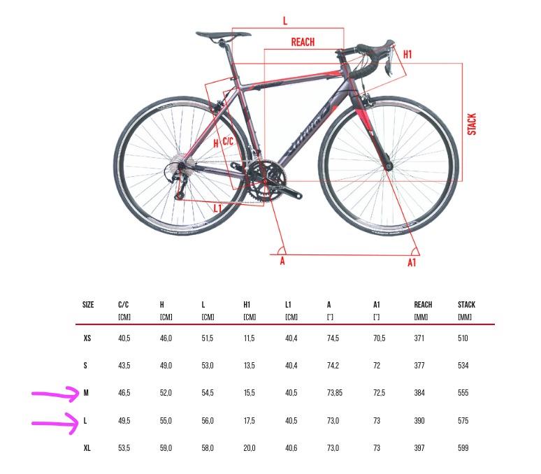Wilier size guide best sale