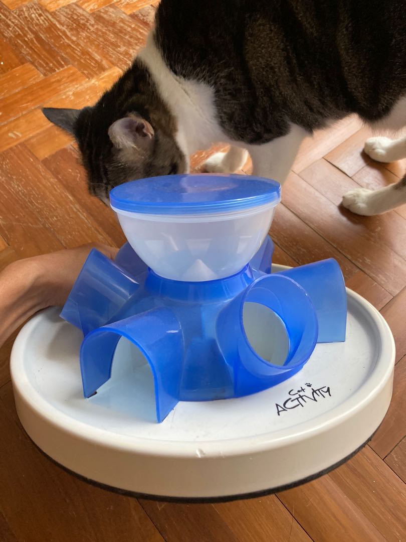 Cat activity feeder, Pet Supplies, Homes & Other Pet Accessories on