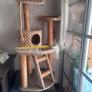 (Category: ) located in . Submitted by averageright (Listing ID 1163008565, Image 1). Description: .
