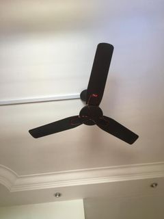 (Category: ) located in . Submitted by sai7249 (Listing ID 1163001449, Image 1). Description: .