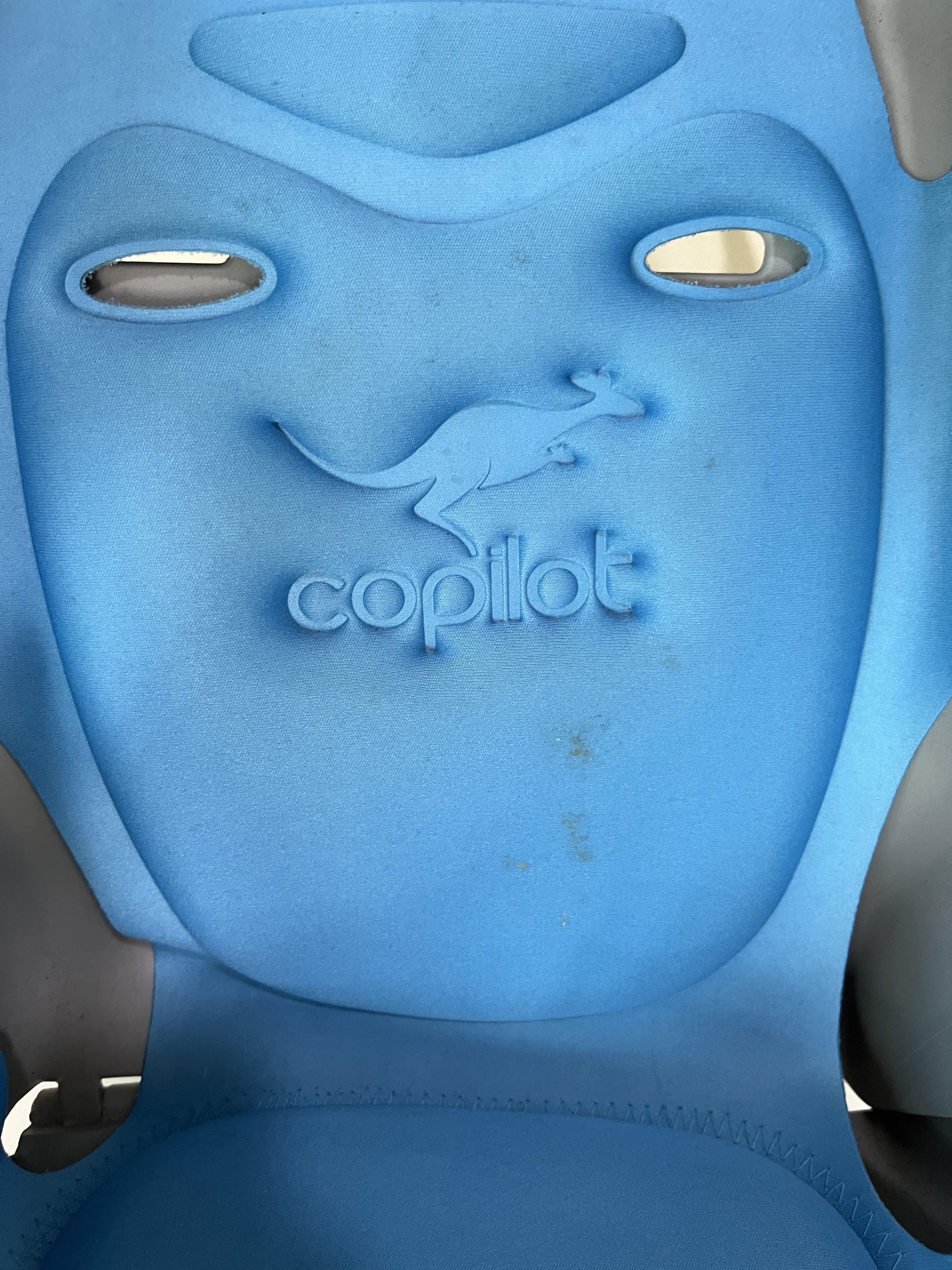 Copilot Bicycle Seat, Sports Equipment, Bicycles & Parts, Parts