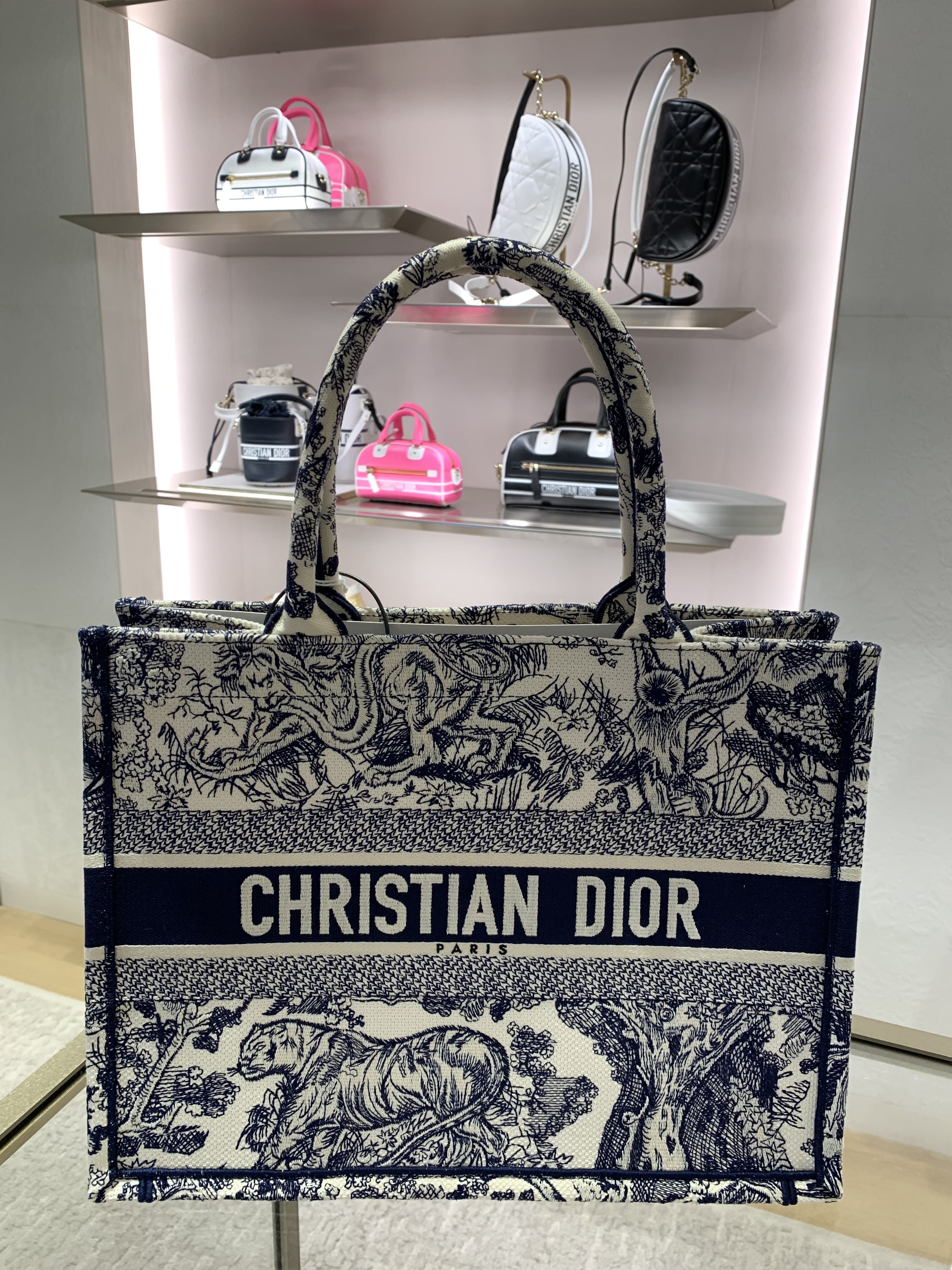 Christian Dior Book Tote Oblique Canvas Medium Gray  eBay