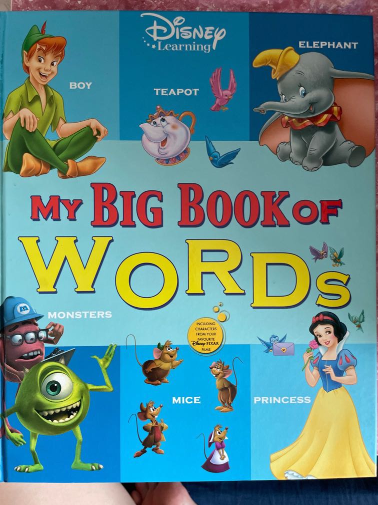 Dwe my big book of words, 興趣及遊戲, 書本& 文具, 小朋友書- Carousell