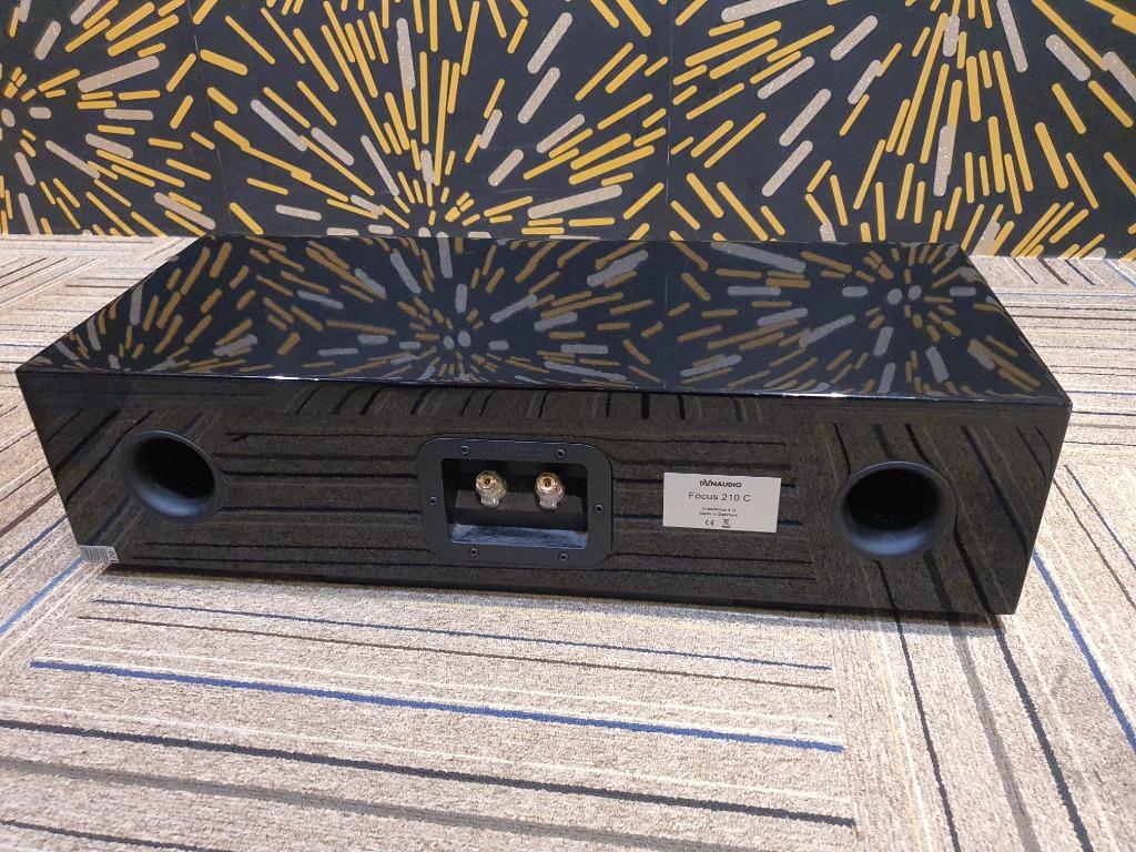 Dynaudio top focus 210c