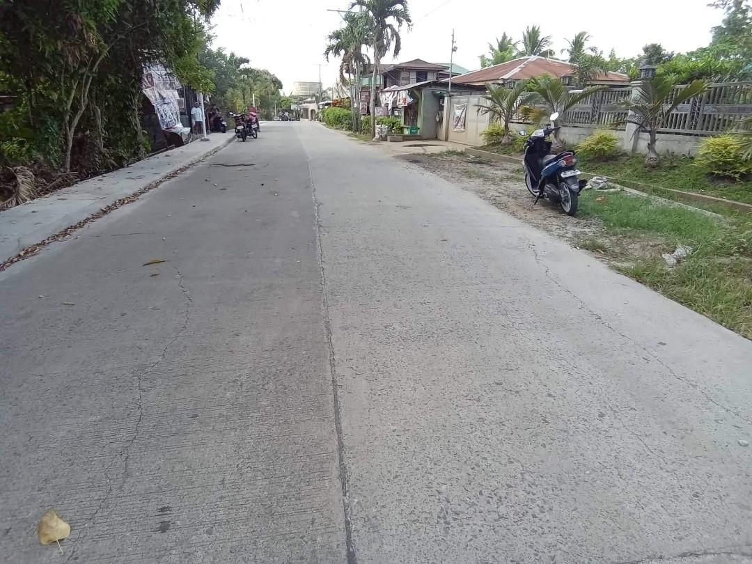 Farm lot for sale along main road in lipa city, Property, For Sale, Lot