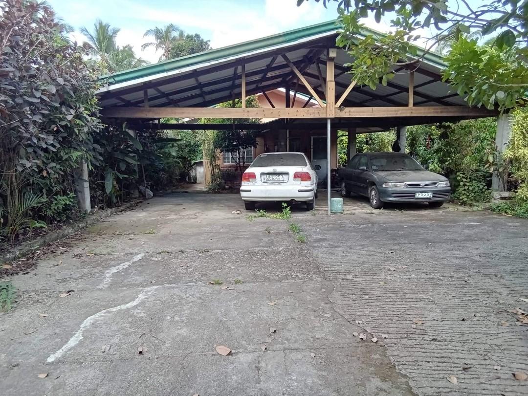 Farm lot for sale along main road in lipa city, Property, For Sale, Lot