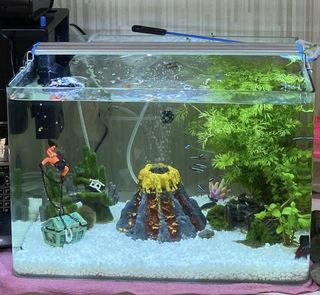 (Category: ) located in . Submitted by lyn0880 (Listing ID 1162974079, Image 1). Description: .