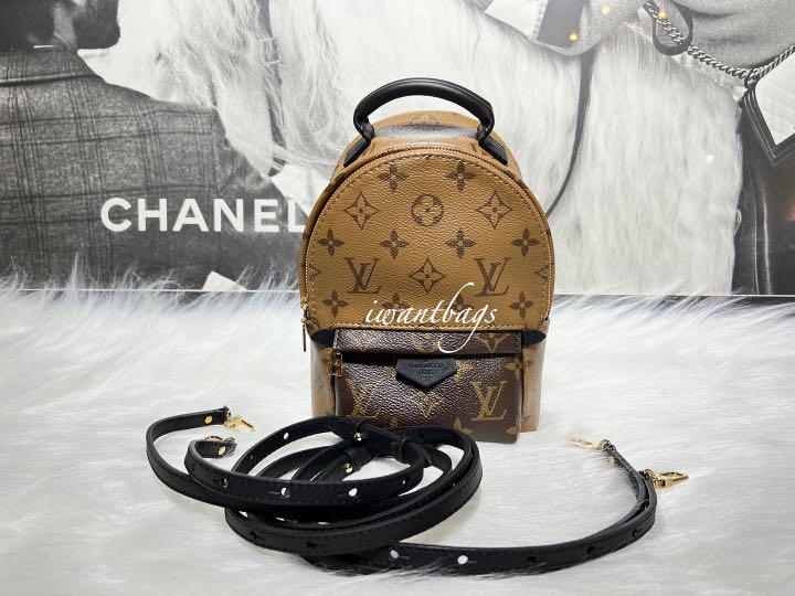 Louis Vuitton Mini Monogram Palm Springs Backpack