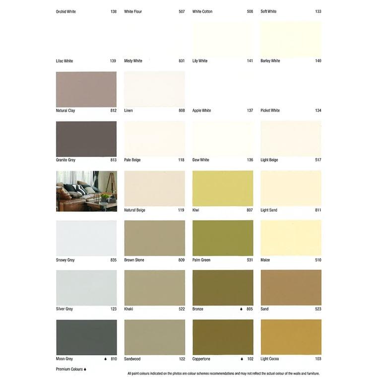 Nippon Paint Colour Chart Catalogue Exclusive for Selffix, Furniture