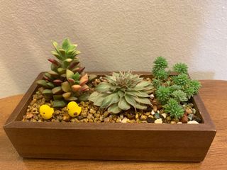 (Category: ) located in . Submitted by greenfinger1221 (Listing ID 1162952010, Image 1). Description: .
